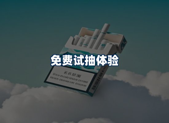专业团队办公环境